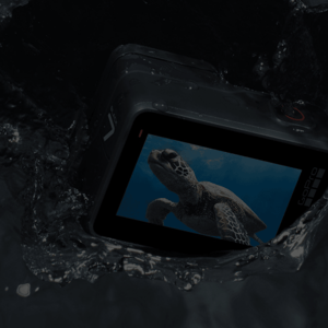 GoPro Case Study